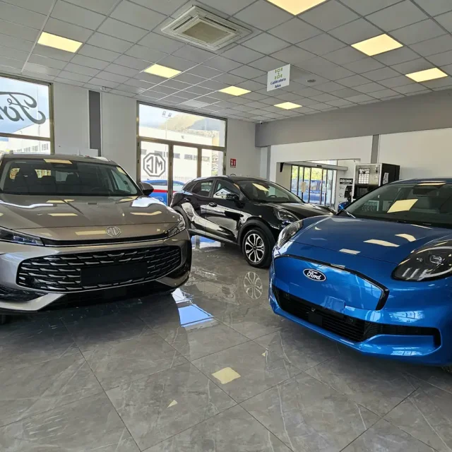 tortomasiauto_autosalone_partinico_borgetto_palermo_mg_ford