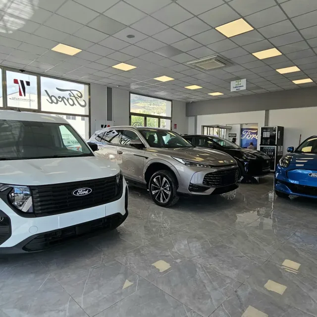 tortomasiauto_autosalone_partinico_borgetto_palermo_veicoli_commerciali